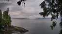 ./images/koeye/fitz-hugh/20260729/fitz-hugh20260729_061002M.jpg