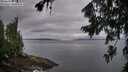 ./images/koeye/fitz-hugh/20260729/fitz-hugh20260729_062502M.jpg