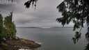 ./images/koeye/fitz-hugh/20260729/fitz-hugh20260729_065002M.jpg