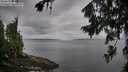 ./images/koeye/fitz-hugh/20260729/fitz-hugh20260729_071001M.jpg