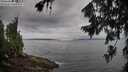 ./images/koeye/fitz-hugh/20260729/fitz-hugh20260729_080001M.jpg