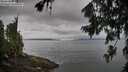 ./images/koeye/fitz-hugh/20260729/fitz-hugh20260729_080501M.jpg