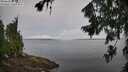 ./images/koeye/fitz-hugh/20260729/fitz-hugh20260729_083001M.jpg
