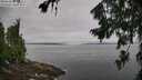 ./images/koeye/fitz-hugh/20260729/fitz-hugh20260729_090501M.jpg