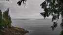 ./images/koeye/fitz-hugh/20260729/fitz-hugh20260729_091001M.jpg