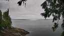 ./images/koeye/fitz-hugh/20260729/fitz-hugh20260729_091501M.jpg