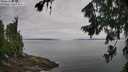 ./images/koeye/fitz-hugh/20260729/fitz-hugh20260729_092001M.jpg