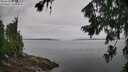./images/koeye/fitz-hugh/20260729/fitz-hugh20260729_092501M.jpg