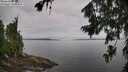 ./images/koeye/fitz-hugh/20260729/fitz-hugh20260729_095501M.jpg