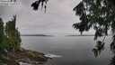 ./images/koeye/fitz-hugh/20260729/fitz-hugh20260729_100001M.jpg