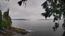 ./images/koeye/fitz-hugh/20260729/fitz-hugh20260729_101002M.jpg