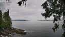 ./images/koeye/fitz-hugh/20260729/fitz-hugh20260729_103002M.jpg