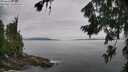 ./images/koeye/fitz-hugh/20260729/fitz-hugh20260729_103501M.jpg