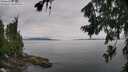 ./images/koeye/fitz-hugh/20260729/fitz-hugh20260729_104501M.jpg