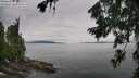 ./images/koeye/fitz-hugh/20260729/fitz-hugh20260729_105001M.jpg