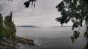 ./images/koeye/fitz-hugh/20260729/fitz-hugh20260729_105502M.jpg