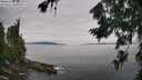./images/koeye/fitz-hugh/20260729/fitz-hugh20260729_110001M.jpg