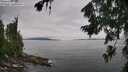 ./images/koeye/fitz-hugh/20260729/fitz-hugh20260729_110501M.jpg