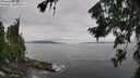 ./images/koeye/fitz-hugh/20260729/fitz-hugh20260729_111501M.jpg