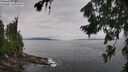 ./images/koeye/fitz-hugh/20260729/fitz-hugh20260729_112501M.jpg