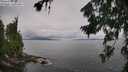 ./images/koeye/fitz-hugh/20260729/fitz-hugh20260729_122001M.jpg