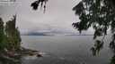 ./images/koeye/fitz-hugh/20260729/fitz-hugh20260729_123002M.jpg