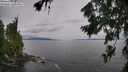 ./images/koeye/fitz-hugh/20260729/fitz-hugh20260729_132002M.jpg