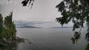 ./images/koeye/fitz-hugh/20260729/fitz-hugh20260729_140001M.jpg