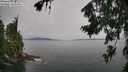 ./images/koeye/fitz-hugh/20260729/fitz-hugh20260729_145501M.jpg