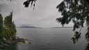 ./images/koeye/fitz-hugh/20260729/fitz-hugh20260729_152501M.jpg