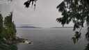 ./images/koeye/fitz-hugh/20260729/fitz-hugh20260729_153501M.jpg