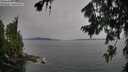 ./images/koeye/fitz-hugh/20260729/fitz-hugh20260729_154502M.jpg