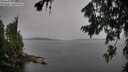 ./images/koeye/fitz-hugh/20260729/fitz-hugh20260729_162501M.jpg