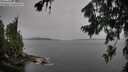 ./images/koeye/fitz-hugh/20260729/fitz-hugh20260729_163002M.jpg