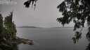./images/koeye/fitz-hugh/20260729/fitz-hugh20260729_163501M.jpg