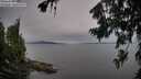 ./images/koeye/fitz-hugh/20260729/fitz-hugh20260729_184501M.jpg