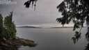 ./images/koeye/fitz-hugh/20260729/fitz-hugh20260729_194501M.jpg