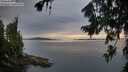 ./images/koeye/fitz-hugh/20260729/fitz-hugh20260729_203501M.jpg