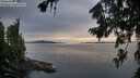 ./images/koeye/fitz-hugh/20260729/fitz-hugh20260729_204001M.jpg
