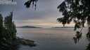 ./images/koeye/fitz-hugh/20260729/fitz-hugh20260729_204501M.jpg