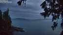 ./images/koeye/fitz-hugh/20260729/fitz-hugh20260729_220001M.jpg