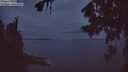 ./images/koeye/fitz-hugh/20260730/fitz-hugh20260730_050501M.jpg