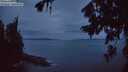./images/koeye/fitz-hugh/20260730/fitz-hugh20260730_051501M.jpg