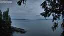 ./images/koeye/fitz-hugh/20260730/fitz-hugh20260730_053501M.jpg