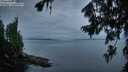 ./images/koeye/fitz-hugh/20260730/fitz-hugh20260730_054002M.jpg