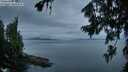 ./images/koeye/fitz-hugh/20260730/fitz-hugh20260730_054501M.jpg