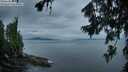 ./images/koeye/fitz-hugh/20260730/fitz-hugh20260730_055001M.jpg
