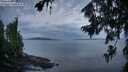./images/koeye/fitz-hugh/20260730/fitz-hugh20260730_061502M.jpg