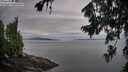 ./images/koeye/fitz-hugh/20260730/fitz-hugh20260730_065001M.jpg