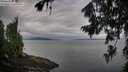 ./images/koeye/fitz-hugh/20260730/fitz-hugh20260730_073502M.jpg
